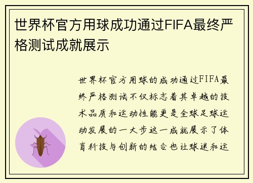 世界杯官方用球成功通过FIFA最终严格测试成就展示